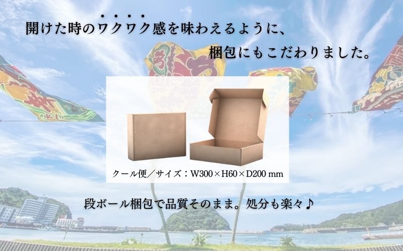 すさみケンケン鰹のたたき 約500g～600g カツオ かつお 刺身 タタキ 天然 初ガツオ 初鰹【scp001A】