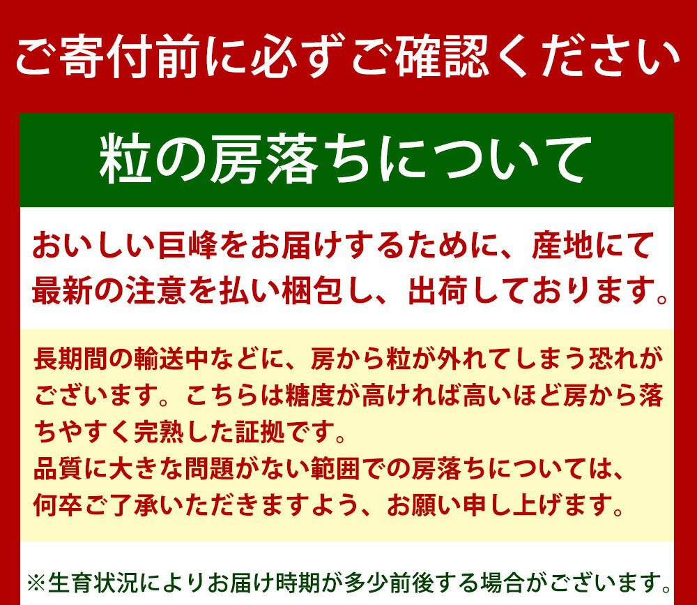 紀州和歌山産 巨峰ぶどう 約2kg ※2025年8月下旬頃〜2025年9月上旬頃に順次発送 ※日付指定不可 巨峰 ぶどう ブドウ 葡萄 果物 くだもの フルーツ【uot784A】