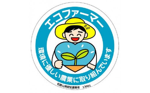 【県認定エコファーマー】あんぽ柿用生渋柿（平たねなし柿） 約4.5～5kg-AP  ※10月下旬より順次発送（日付指定不可）フルーツ 果物 くだもの 食品 人気 おすすめ 送料無料【art003A】