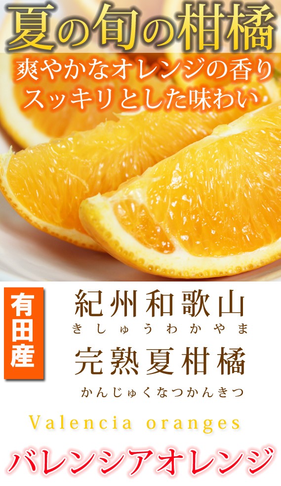秀品　希少な国産バレンシアオレンジ　2.5kg　※2025年6月下旬頃〜2025年7月上旬頃順次発送（お届け日指定不可）【uot752】