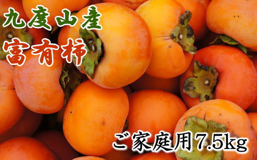 ≪柿の名産地≫九度山の富有柿約7.5kgご家庭用【2024年11月上旬～2024年12月上旬頃順次発送】/ 柿 かき カキ フルーツ 果物 くだもの 和歌山 【tec413A】