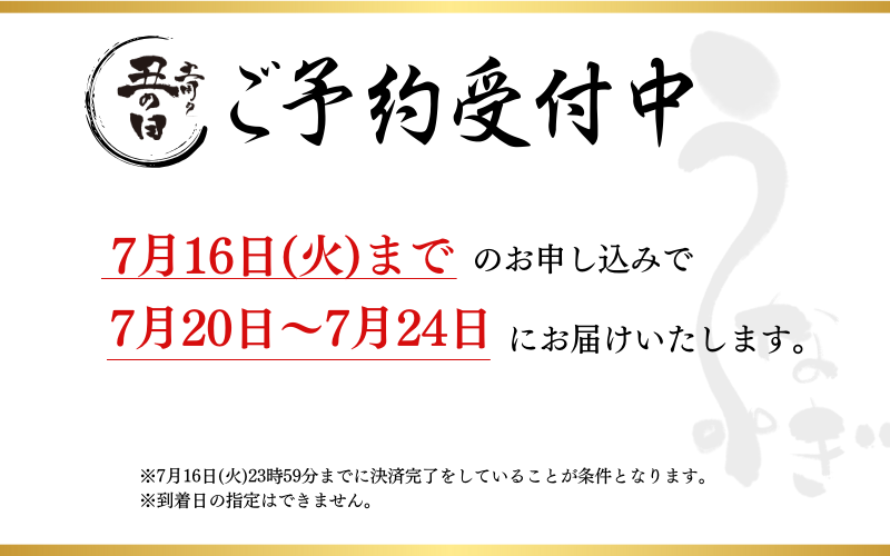 【予約 土用の丑の日までに届く】【2024年7月20日～24日にお届け】1尾で約240gのビッグサイズ うなぎ蒲焼 2尾 計約480g （タレ・山椒付き） 中国産 鰻 うなぎ うなぎの蒲焼 炭火焼き 炭火 特大サイズ【nks700A-dy】