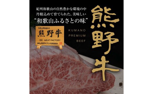 熊野牛 赤身ブロック 真空パック 500g【MT15】