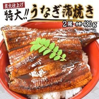 うなぎ蒲焼き2尾入り 480g（蒲焼たれ4袋 山椒付き）【年末発送：12月25日〜29日発送】