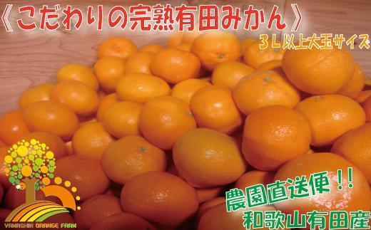 ＼農家直送／こだわりの大玉有田みかん 3Lサイズ以上約7.5kg【2024年12月より順次発送】