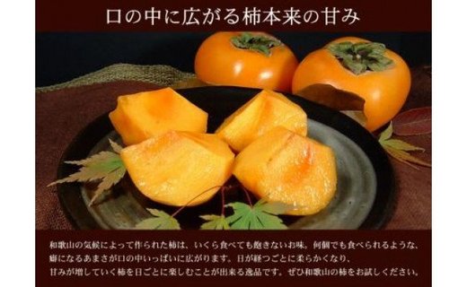 和歌山の種なし柿　約7.5kg（秀品：サイズ・品種おまかせ）／紀伊国屋文左衛門本舗