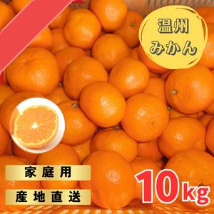 宮川早生みかん ご家庭用 10kg箱入【WS6】