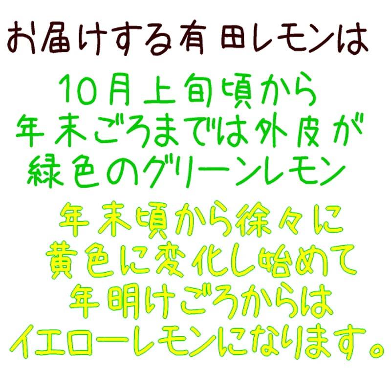 紀州 和歌山 有田 レモン 和歌山県産 約3kg【先行予約】【発送時期