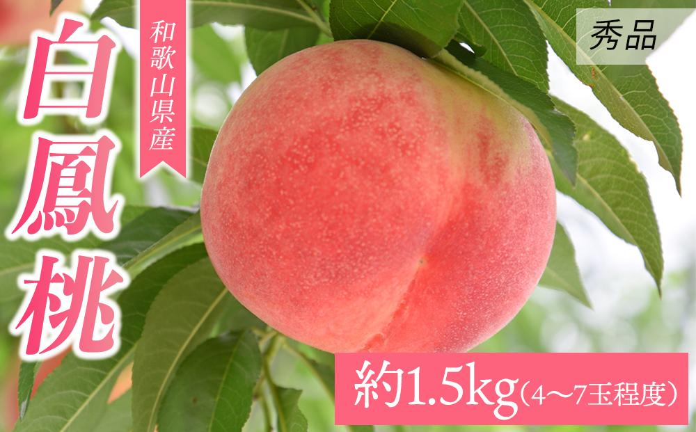 和歌山県産 白鳳 《秀品》 約1.5kg(4～7玉程度）【7月上旬より発送】 【MG30】