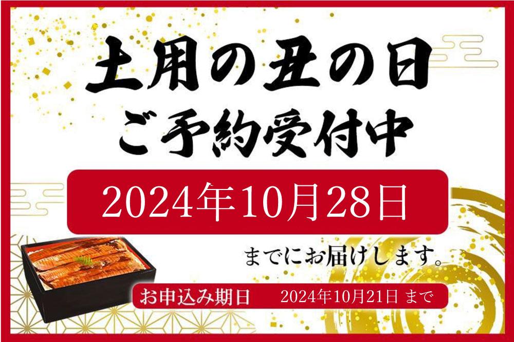 大型サイズ　ふっくら柔らか　国産うなぎ蒲焼き　3尾　化粧箱入【秋土用の丑の日のうなぎ】【～10月28日までにお届け】【UT06】