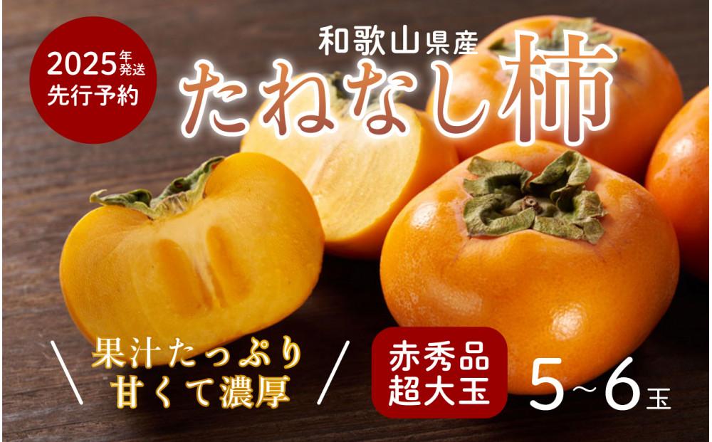 柿 種無し 赤秀品 超大玉 1.8kg 5～6個 【先行予約】【2025年9月下旬頃から発送】【KG4】