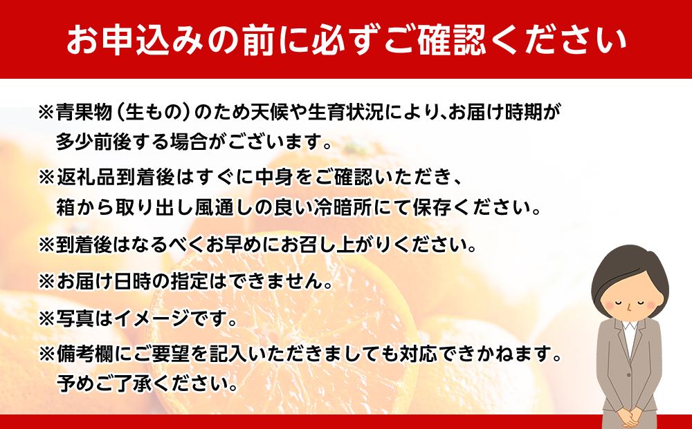 和歌山県産 糖度12.5度 以上 訳ありみかん5kg 3S ～L サイズ混合【MG57】