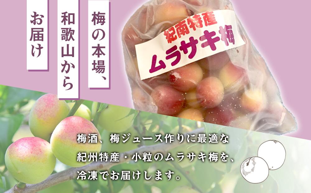 冷凍ムラサキ梅 小粒 ２kg 【ロゼワイン色の梅ジュースが作れます】 梅酒 食品