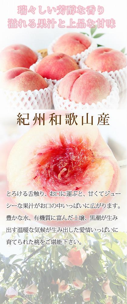 秀品　紀州和歌山産の桃　３玉　化粧箱入【2024年6月下旬より順次発送】
