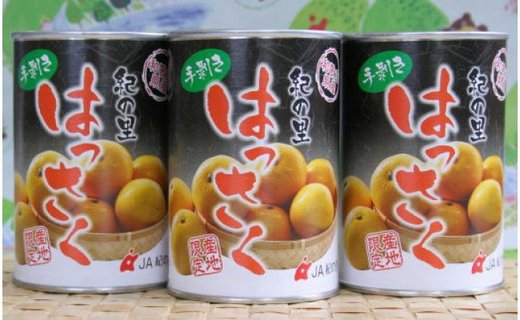 和歌山産手剥き八朔缶詰450g×8缶入り★2024年5月〜順次発送