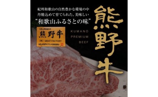 豪華限定企画！熊野牛ステーキと国産炭火焼鰻の贅沢うな牛セットＢ【MT28】