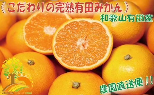 ＼農家直送／こだわりの有田みかん 約8kg【2024年11月より順次発送】