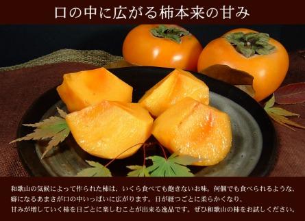 和歌山の種なし柿　約7.5kg（秀品：サイズ・品種おまかせ）／紀伊国屋文左衛門本舗【TC4】