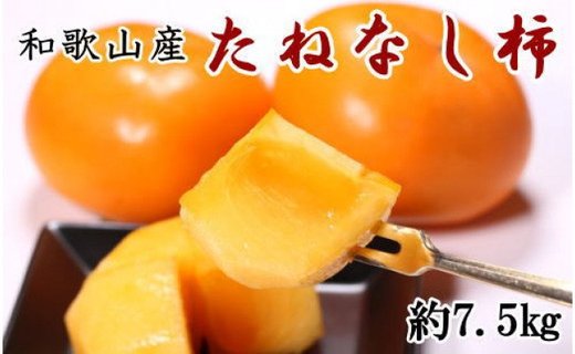 和歌山産たねなし柿（サイズおまかせ）約7.5kg・秀品★2024年10月頃より順次発送