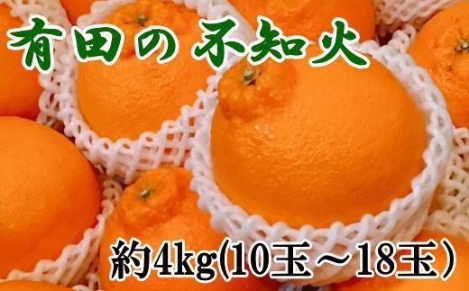 【濃厚】有田の不知火約4kg（10～18玉）★2025年2月上旬頃より順次発送【TM30】