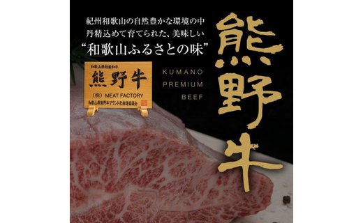 熊野牛 牛丼の具 5食セット