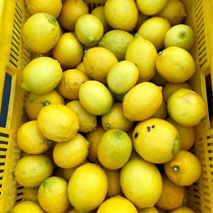 和歌山産 レモン 5kg 【訳あり】【US1】