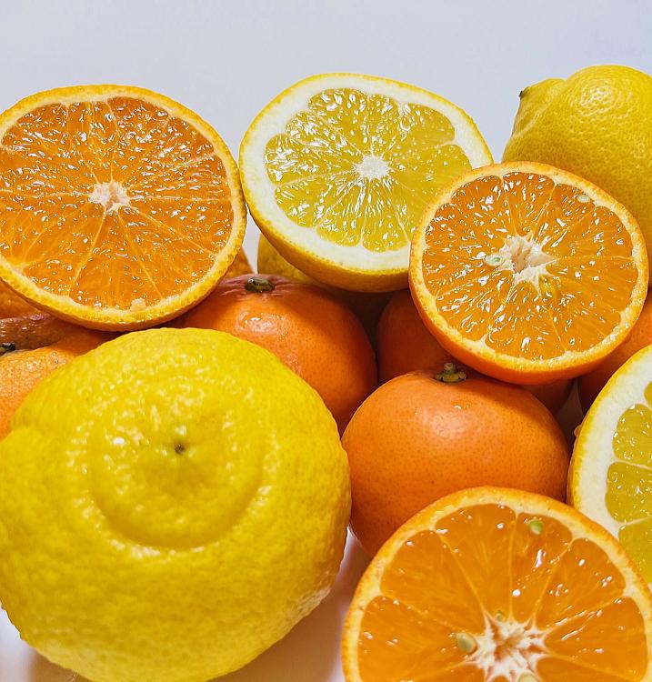 ご家庭用 旬 の 柑橘 詰め合わせ セット 約2.5kg【農家直送】【和歌山県産】【訳あり】【先行予約・2025年1月中旬〜4月下旬発送】