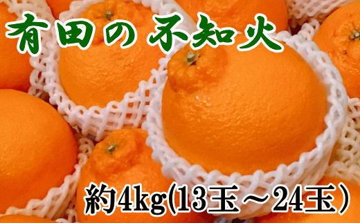 【濃厚】有田の不知火約4kg（13～24玉）★2025年2月上旬頃より順次発送【TM31】