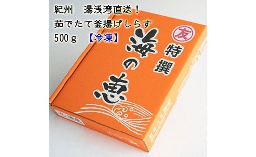 紀州湯浅湾直送！海の恵　茹でたて釜揚げしらす　500g　【冷凍】