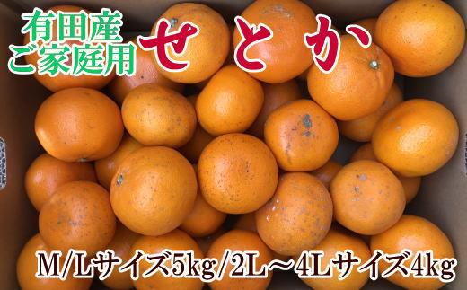 (訳あり・ご家庭用)一度は食べていただきたい「有田産のせとか」約4kg〜5kg★2024年２月中旬頃より順次発送