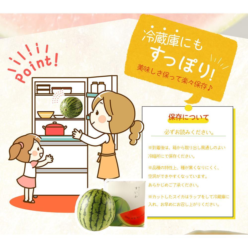 紀州和歌山産 小玉スイカ「ひとりじめ」 2玉【2025年6月上旬頃～2025年6月下旬頃に順次発送】【UT86】