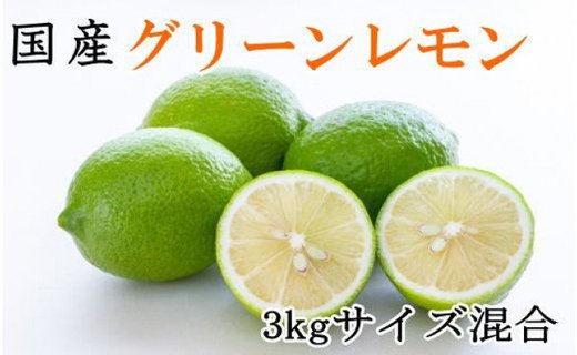 【産直】和歌山産グリーンレモン約3kg（サイズ混合）★2024年10月下旬頃より順次発送