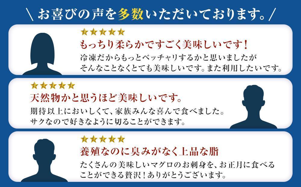 【年内発送】プレミア和歌山認証品 本マグロ（養殖）トロ＆赤身セット　240g【年末発送（12月26日から30日発送）】