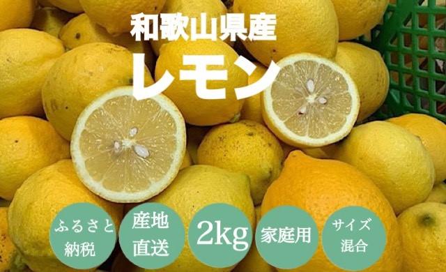  【産地直送】和歌山県産 レモン 2kg 家庭用 【US44】