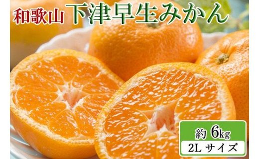 【産直・秀品】和歌山下津みかん約6kg（2Lサイズ）★2024年11月中旬頃より順次発送【TM75】