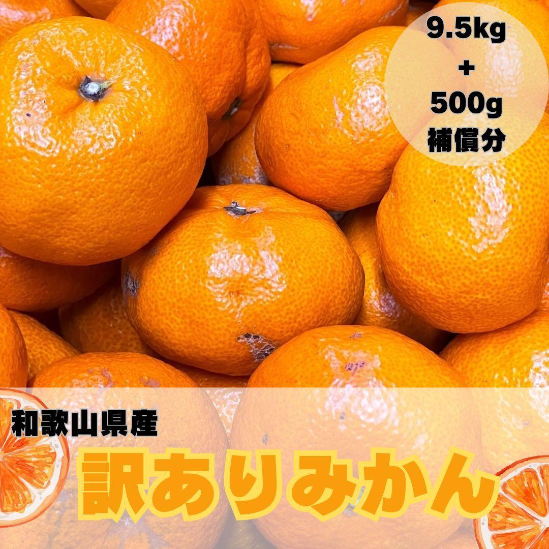 【訳あり】和歌山みかん 約9.5kg+補償分約500g サイズ混合 11月より順次発送 訳ありみかん 【red1】