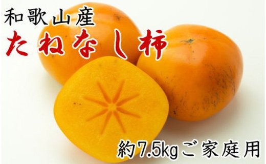 【秋の味覚】和歌山産のたねなし柿ご家庭用約7.5kg★2024年10月頃より順次発送