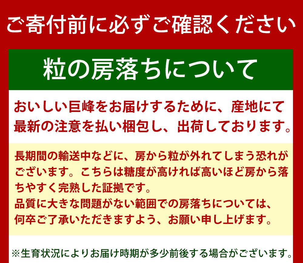 巨峰ぶどう約2kg　紀州和歌山 印南産