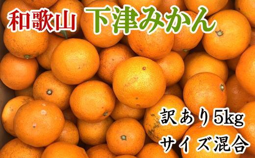 【訳あり】和歌山下津みかん約5kgご家庭用向け(サイズ混合) ★2024年11月中旬頃より順次発送【TM77】