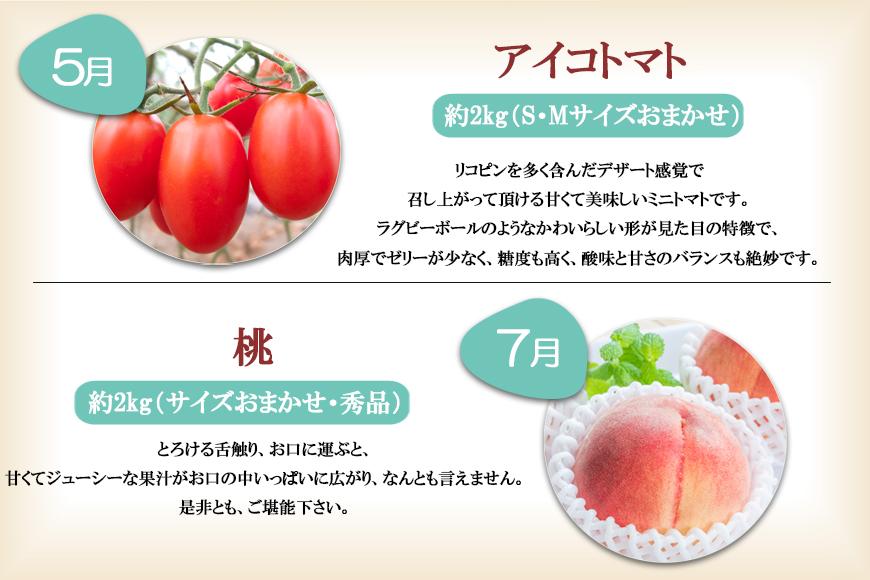 ご家庭用　ジューシー　旬　果実　とまと　ミニトマト　フルーツトマト　混合　２キロ