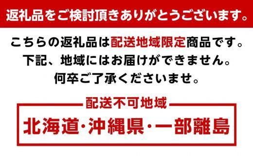 【定期便全6回】夏・秋の新鮮フルーツ定期便