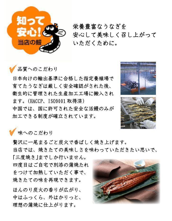 うなぎ蒲焼き4尾入り 960g（蒲焼たれ8袋 山椒付き）【年末発送：12月25日〜29日発送】