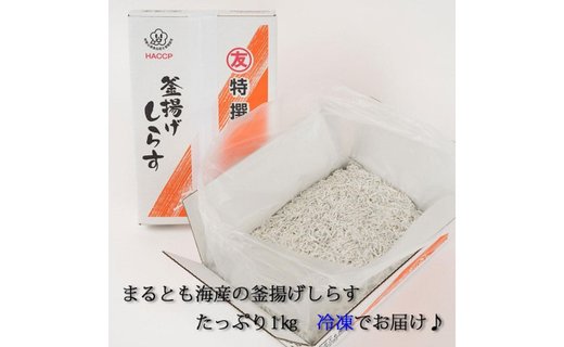 紀州湯浅湾直送！　茹でたて釜揚げしらす 箱入　1kg　【冷凍】