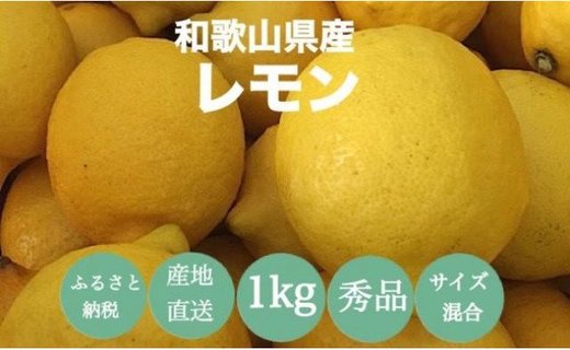 【産地直送】和歌山県産　レモン　1kg　サイズ混合