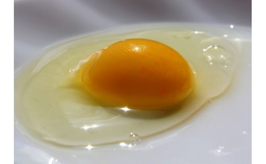 国産飼料にこだわった鶏が産む安全安心の 『レモン色たまご』1パック（10個入り）×6