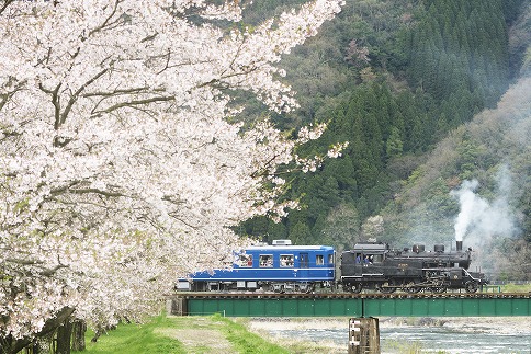 若桜鉄道　機関士帽　これで今日から機関士！