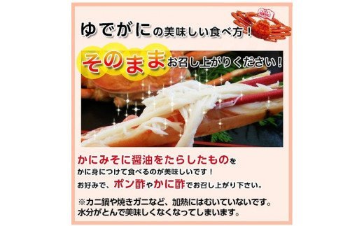 93．【先行予約】鳥取県産　タグ付き浜茹で松葉がに　1.2ｋｇ以上×1枚