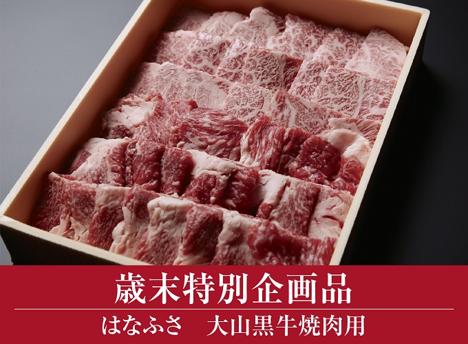 大山黒牛焼肉用 （大山ブランド会） 米子高島屋 タカシマヤ 31-C22 0975