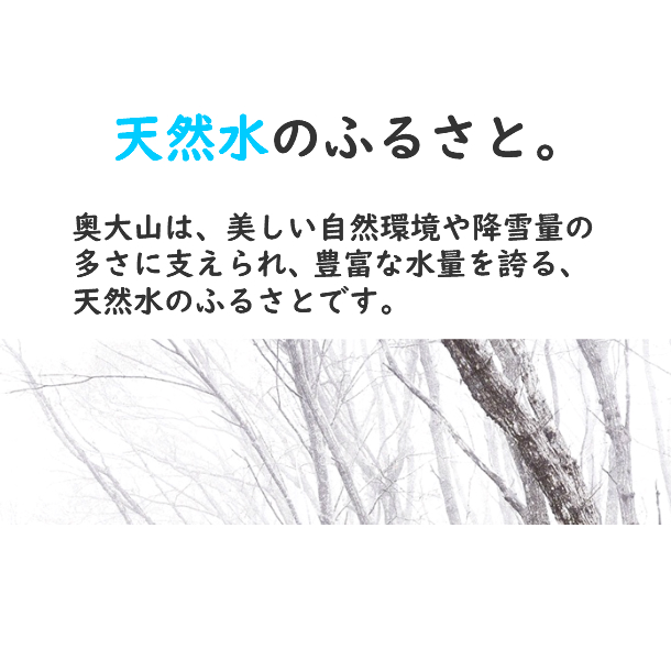 【定期便5回】サントリー天然水(奥大山) 1箱×５ヶ月 ナチュラル ミネラルウォーター ペット 軟水 l PET 0655