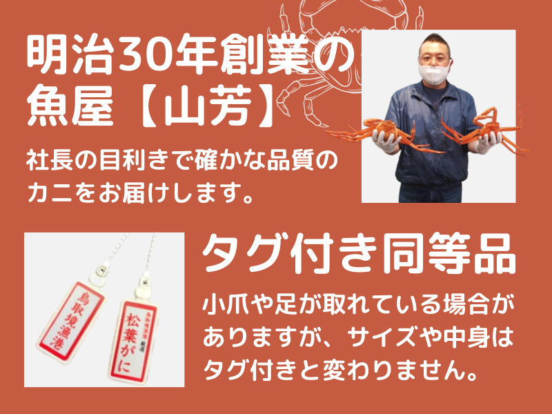 ミ(訳あり)ミ 蒸し松葉がに(ずわいがに) 1枚 冷蔵発送 カニ 境港 山芳海産 0782